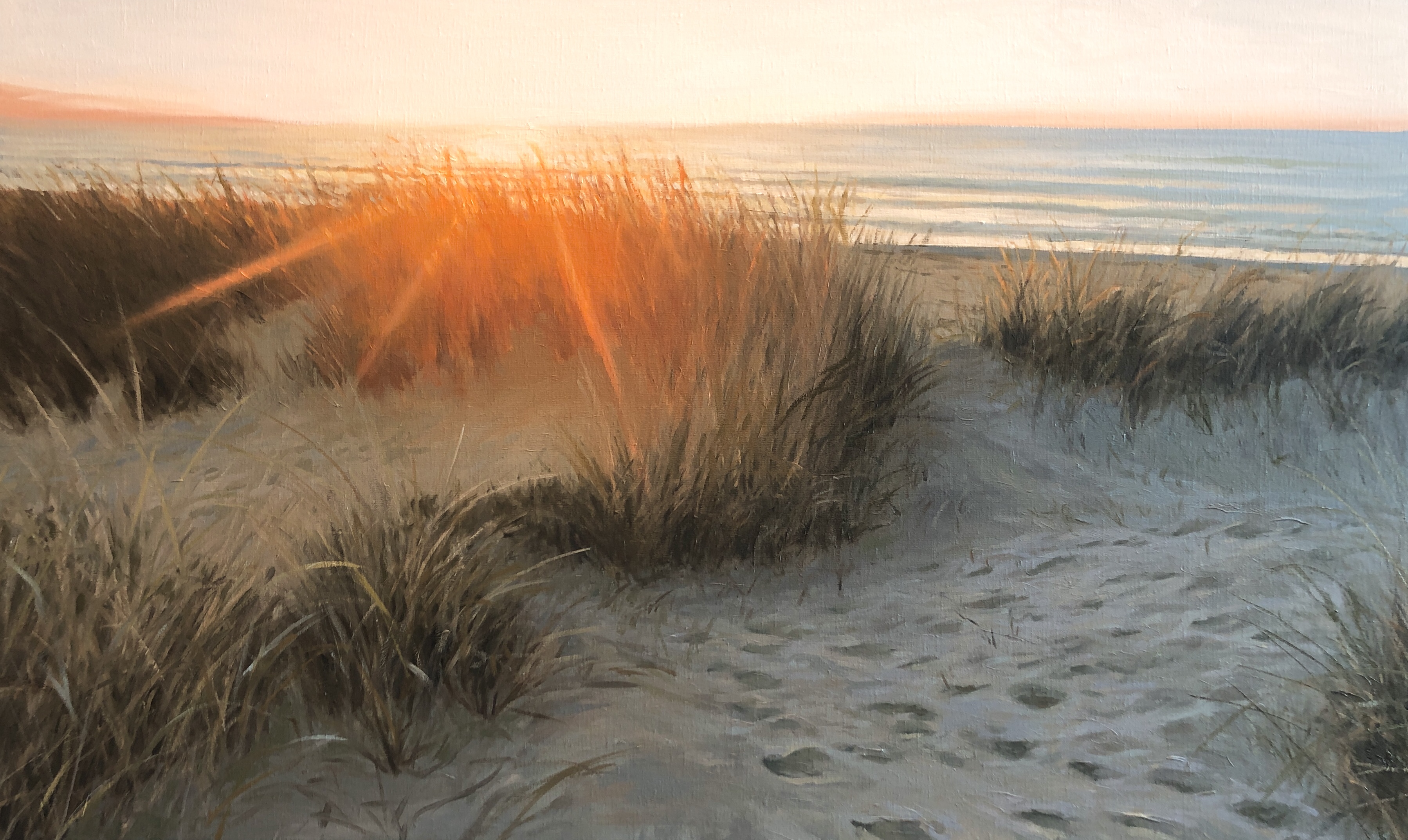 "Lanuage With No Words", 60x100 cm, olie (SOLGT)
