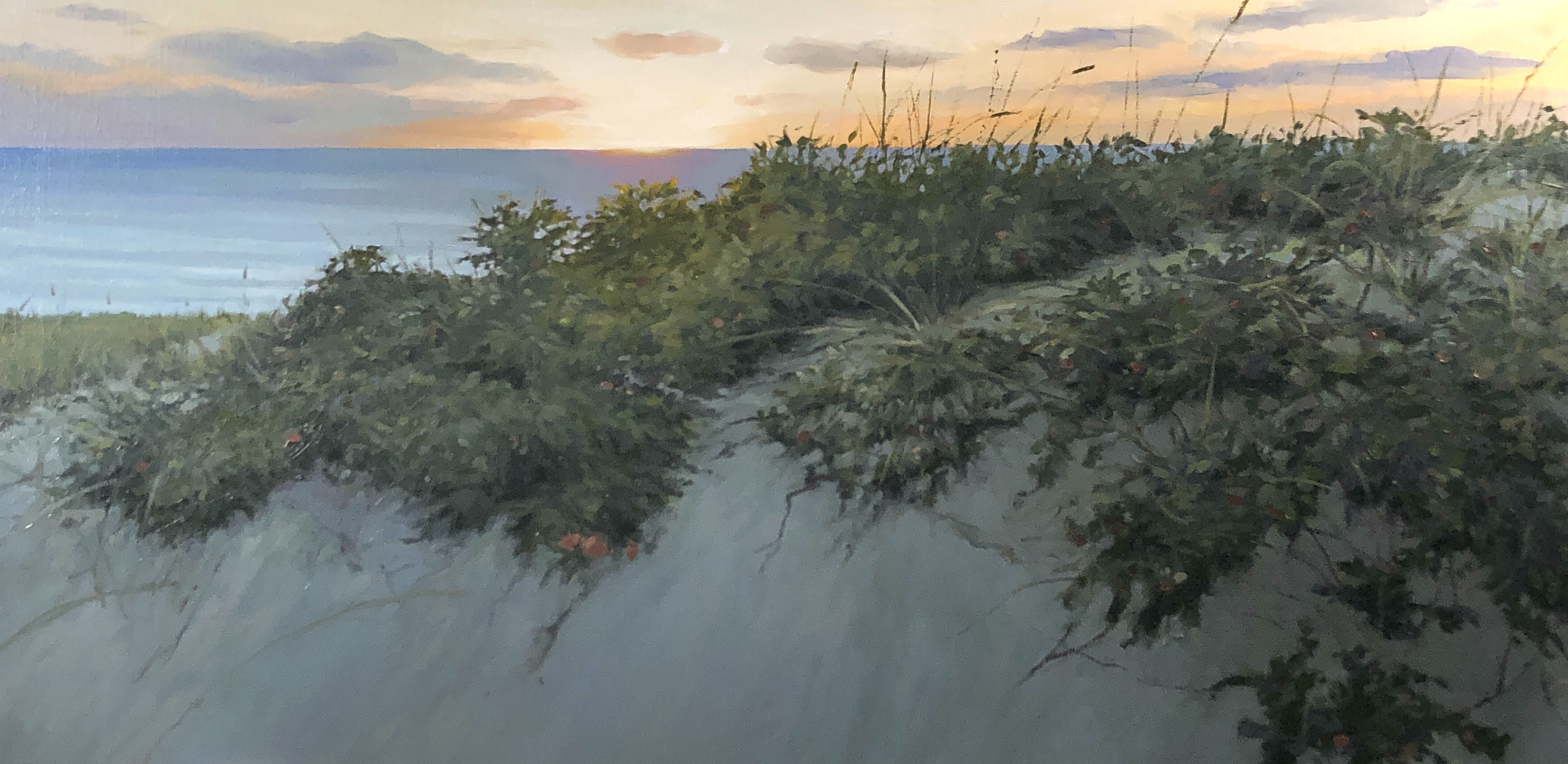 "Beach Rose Flower", 50x100 cm, olie (SOLGT)