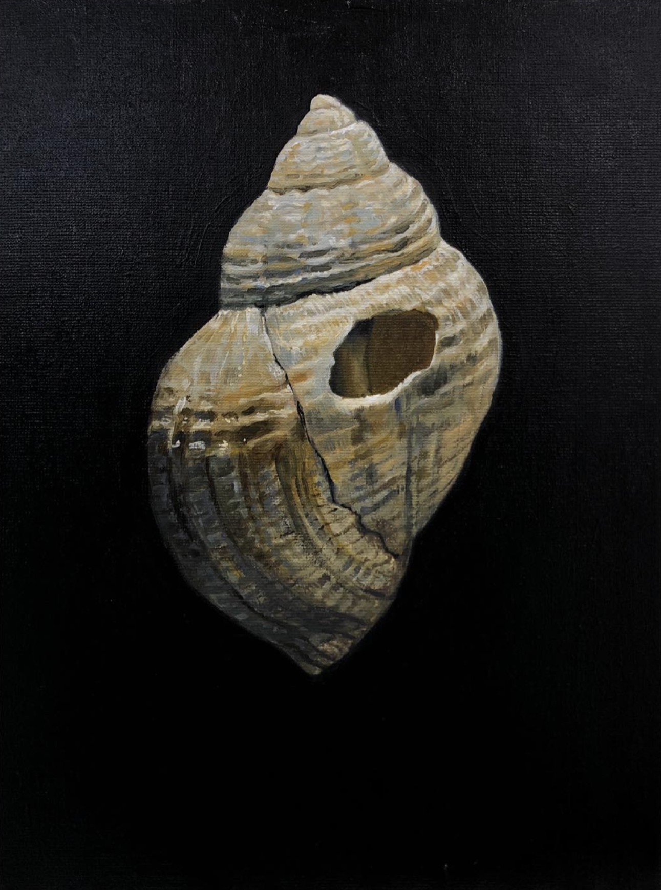 (Uden titel), 30x40 cm, olie (SOLGT)