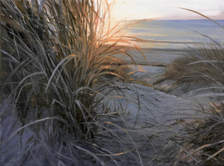 "Lyme Grass And Dune In February", 30x40 cm, olie (SOLGT)